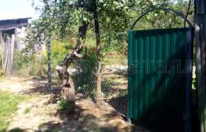 металлические ворота с калиткой