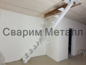 Лестница моно забежная в дом