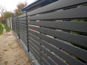 Забор ранчо борец 2