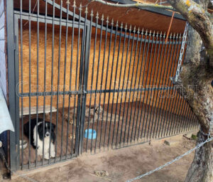 Вольеры в Гомеле от «Svarim Metall»