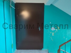 Двери металлические в тамбур